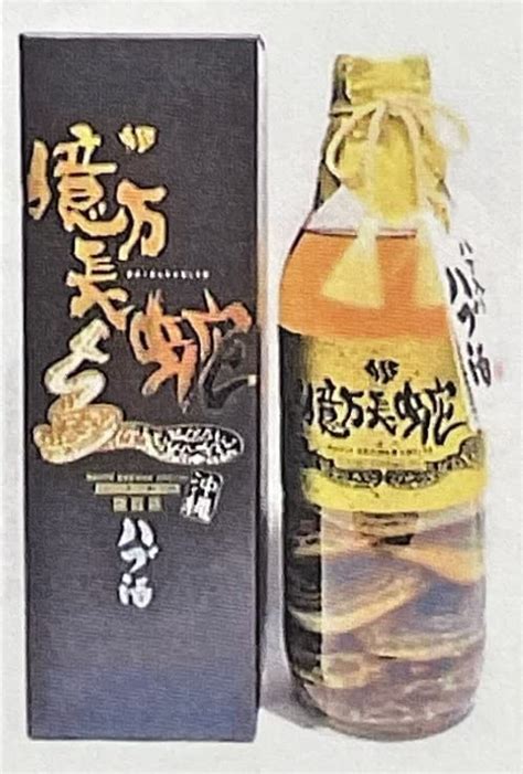 沖縄「ハブ酒」は男性の活力源！驚きの効果効能やおすすめ銘。